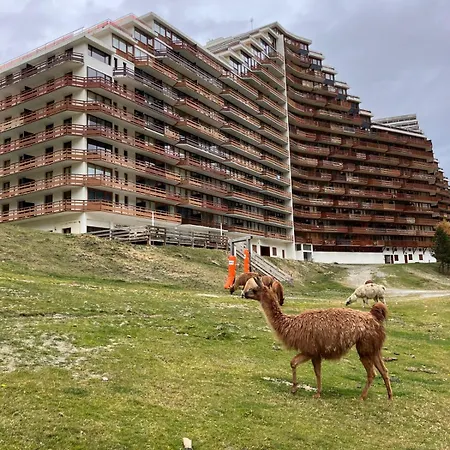 Lägenhet T2 Au Pied Des Pistes *