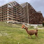 Apartmán T2 Au Pied Des Pistes *